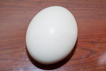Comparison of ostrich eggs and egg sizes,The egg of the ostrich is the largest of any living bird.