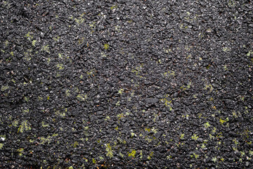 Black pavement with green moss patches