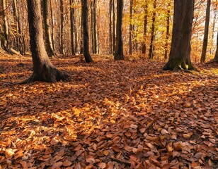 A golden autumn forest with fallen leaves covering the ground, bathed in warm sunlight filtering through the trees.