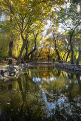 Beautiful autumn view of Yuanmingyuan Park in Beijing, China