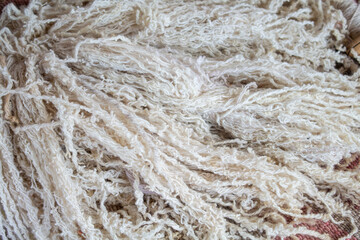 White llama wool background texture. Alpaca wool fiber for text production in Peru.