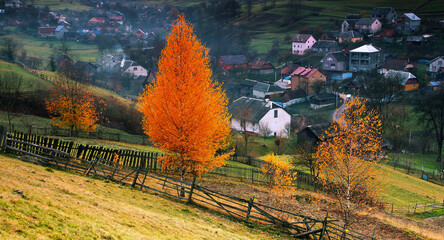 wonderful autumn scenery, incredible autumn view in the mountains