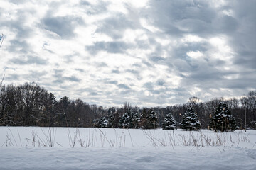 Snowy Field 2