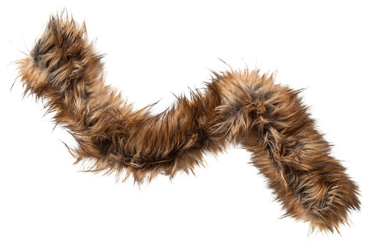 Fur boa isolated