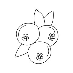 Kawaii Fruit Clipart: Doodle Fruit Clipart: Outline Cartoon Fruit Clipart