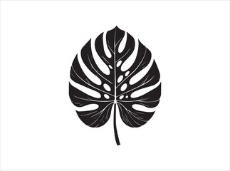 Swiss Cheese Plant Leaf Vector Silhouette for Tropical and Botanical Designs