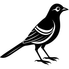 silhouette of a bird