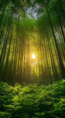 Naklejka premium A dense bamboo forest with sunlight filtering through the leaves, tranquil and vibrant, vertical