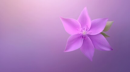 Closeup of a vibrant pink flower blossom against striking purple backdrop vivid