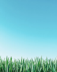 Fototapeta premium Vibrant green grass open field nature scene bright sky fresh perspective