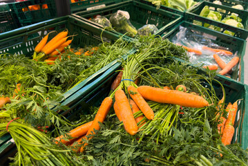 Fresh bunch carrots withe green on the supermarket for sale 