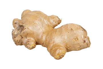 Isolated fresh ginger root
