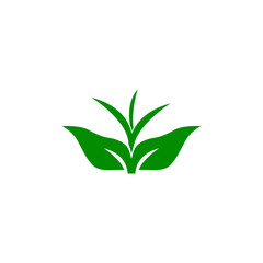  leaf icon design template vector