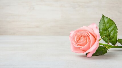 Pink Rose on Light Wood Background