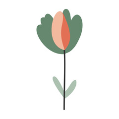 Cute flower,cartoon, isolated, vector illustration, graphic design, flat