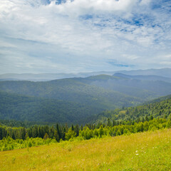 Misty Carpathian mountain valley after the rain.