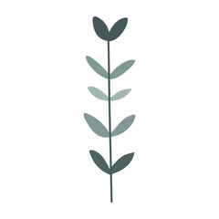 Plant leaf, branch. Icon, vector illustration, graphic design, flat style