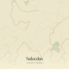 Vintage map of Salzedas, Portugal. 