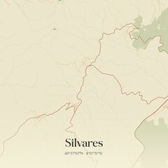 Vintage map of Silvares, Portugal. 