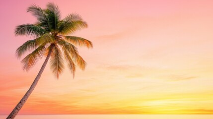 Fototapeta premium Single Palm Tree at Sunset Over a Calm Ocean