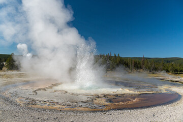 Sawmill Geyser erupting, in the Upper Geyser Basin of Yellowstone National Park