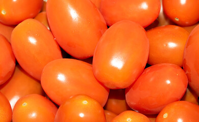 Close Up of Baby Plum Red Tomatos