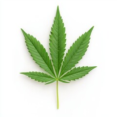 Vibrant Green Cannabis Leaf On White Background