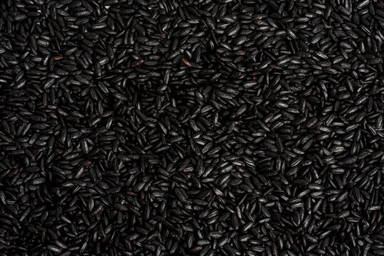Close up of black rice 