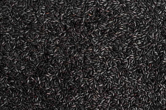 Close up of black rice 