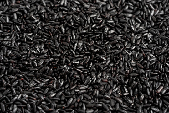 Close up of black rice 