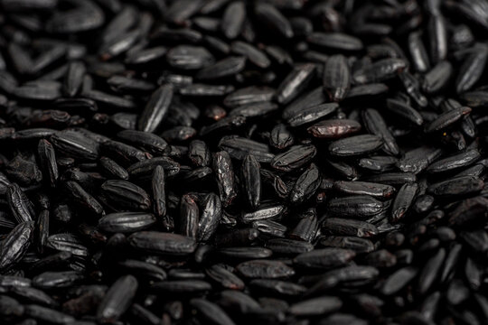 Close up of black rice 