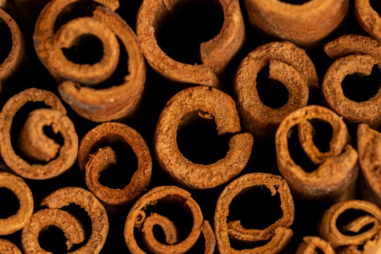 Close up of whole cinnamon bark 