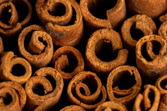 Close up of whole cinnamon bark 