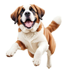 Saint Bernard Happy Playful Fun Jumping In The Air Illustration