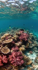 Fototapeta premium Vibrant coral reef underwater ecosystem with diverse marine life