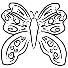 butterfly illustration