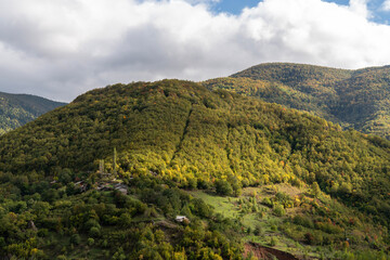 Forested Mountain Slope with Partial Valley View
