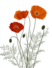 Naklejka premium cover for children's notebook, notepad. flowers, poppies on a white background