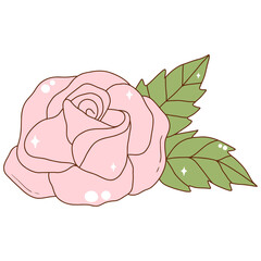 Rose flowers valentine's day