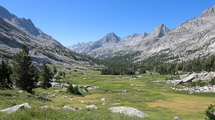 A quiet mountain valley surrounded by towering granite walls.