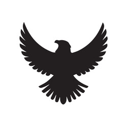 Obraz premium eagle silhouette 