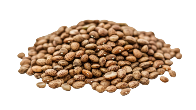 Heap of pinto beans forming a small mountain on transparent background
