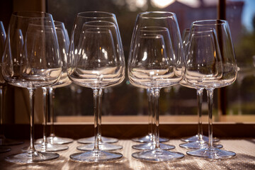 Clean wine glasses neatly arranged in a row