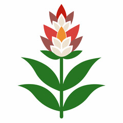 illustration of lotus flower