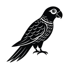parrot of a silhouette art (2)