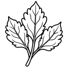 Sleek Arugula Illustration Vector Line Art