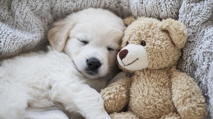 Fluffy Puppy Snuggling with Soft Teddy Bear in Cozy Blanket