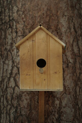 Wooden birdhouse on a tree close-up.