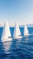 Fototapeta premium A serene regatta of three sailing ships with white sails gliding over a tranquil blue sea under a clear sky.