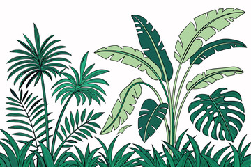 Tropical foliage border, lush green leaves, palm fronds, monstera plants, exotic flora, white background, botanical illustration, dense jungle vegetation, vibrant greens, diverse leaf shapes, natural 